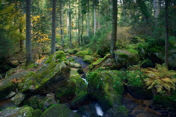 Landschaft