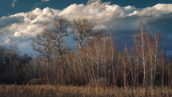 Landschaft