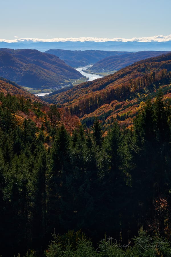 Landschaft
