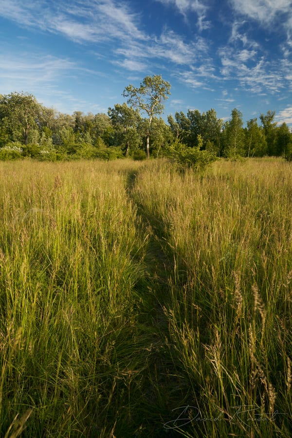 Landschaft