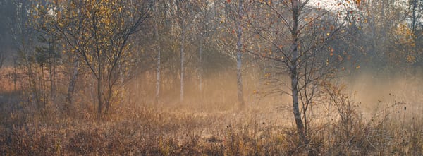 Landschaft