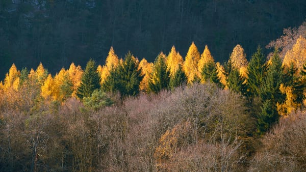 Landschaft