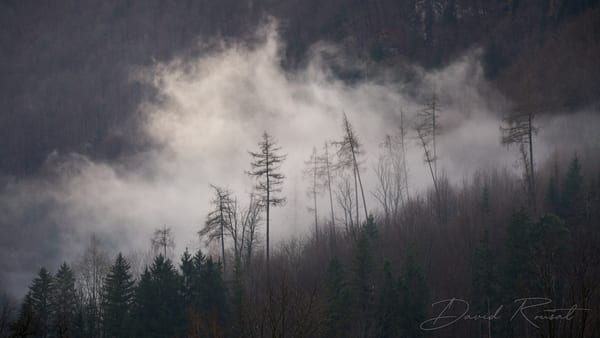 Landschaft