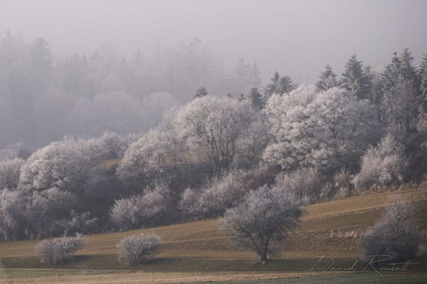 Landschaft