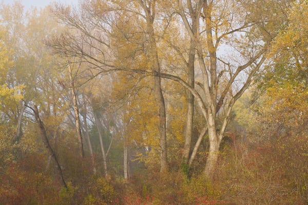 Landschaft