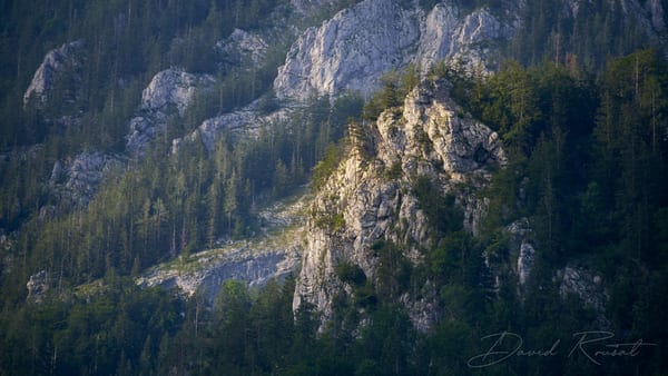 Landschaft