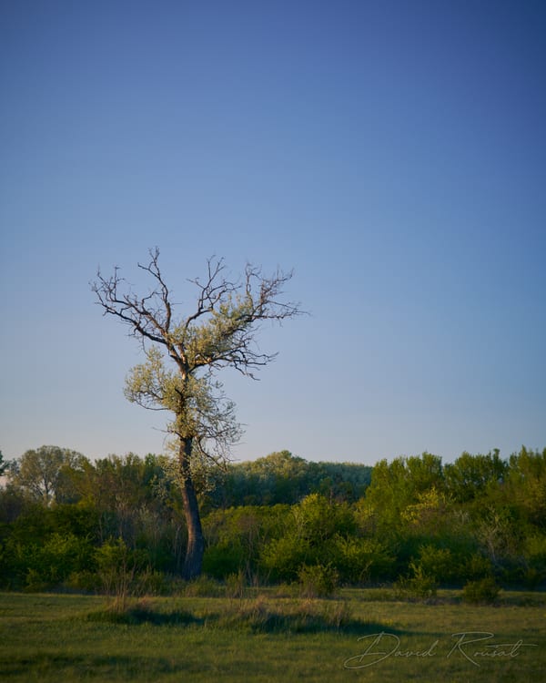 Lobau: 4 Seasons